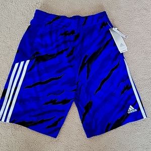 Blue Athletic Shorts